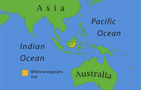 Borneo a térképen