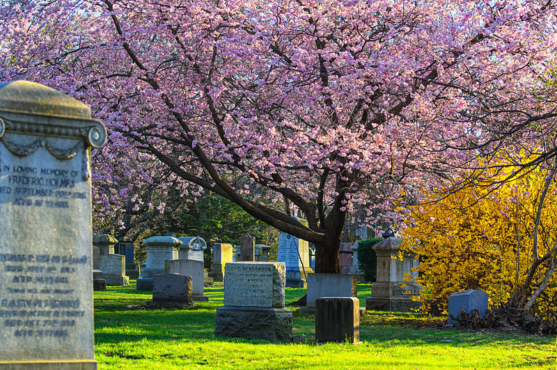 Mount Pleasent temető, Toronto