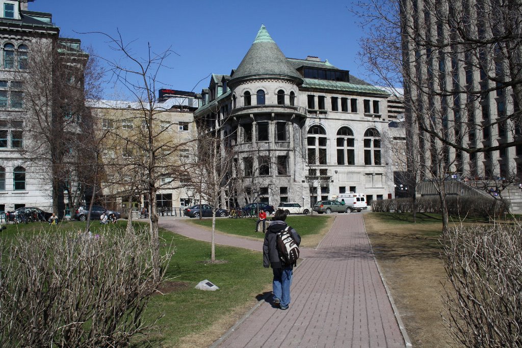 McGill Egyetem